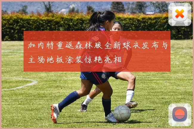 加内特重返森林狼全新球衣发布与主场地板涂装惊艳亮相